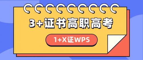 1+X证书WPS可用于2024年广东3+证书高职高考报考用