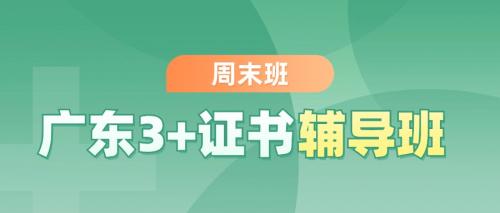 广东3+证书高职高考周末辅导班！广州海珠上课