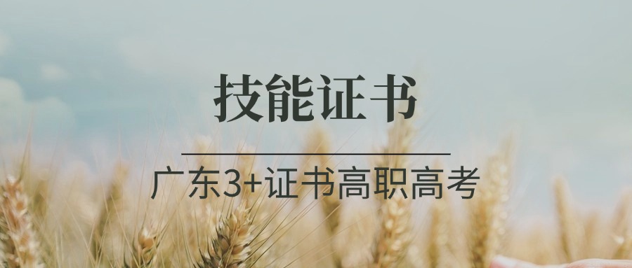 广东3+证书高职高考考试要有哪些技能证书？